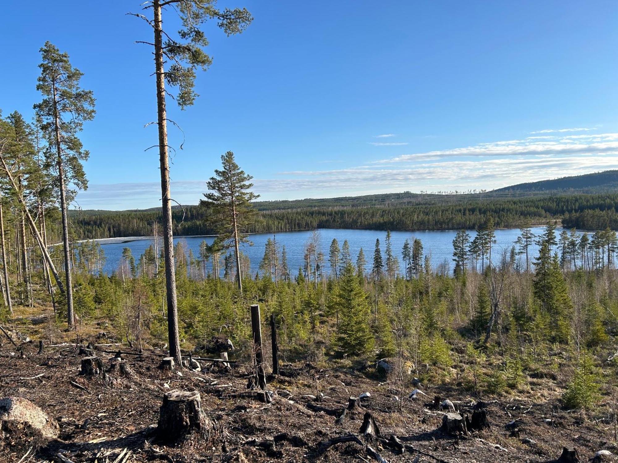 Hus I Ljuset Villa Näsåker Eksteriør billede