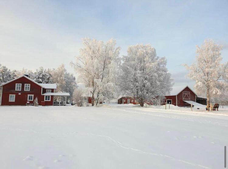 Hus I Ljuset Villa Näsåker Eksteriør billede