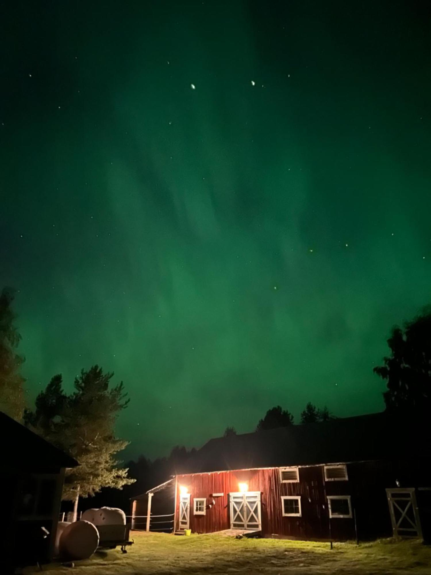 Hus I Ljuset Villa Näsåker Eksteriør billede